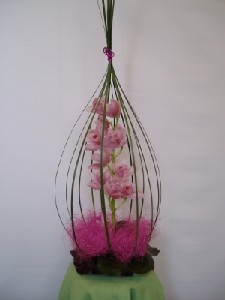 Orchid in a Cage